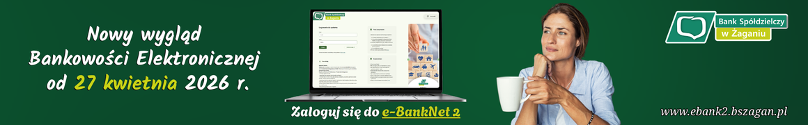 Green and White Modern Mortgage Solution Service Flyer 1160 x 180 px